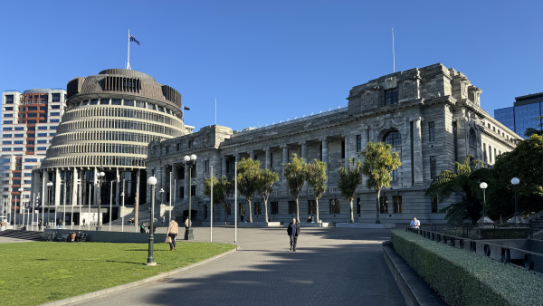 February 2025 Newsletter Eye Health Aotearoa preview image