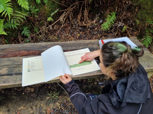 World Sight Day: Making Te Taiao More Accessible preview image