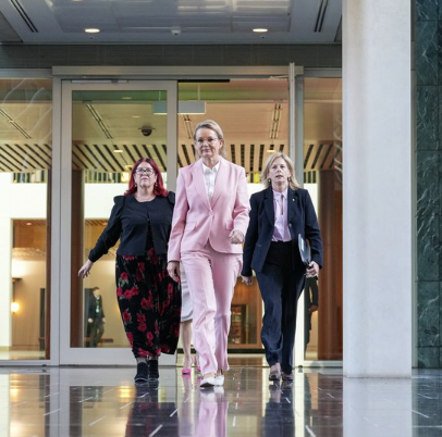 Ley must back Antic bill to protect girls and women