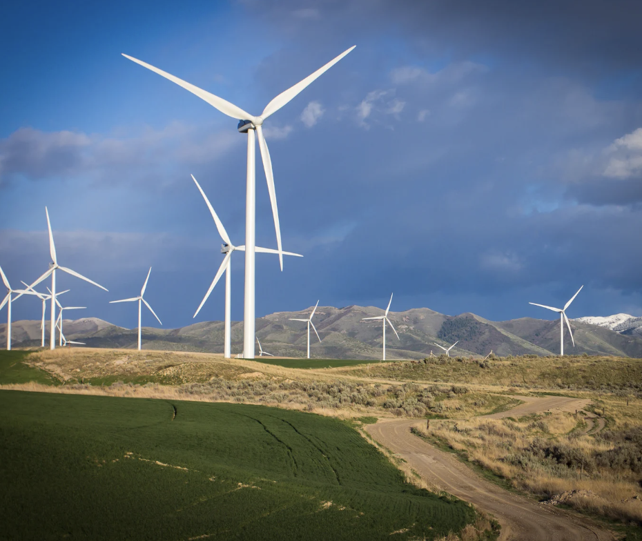 Net Zero will cost more, hurt nature, and destabilise our power grid