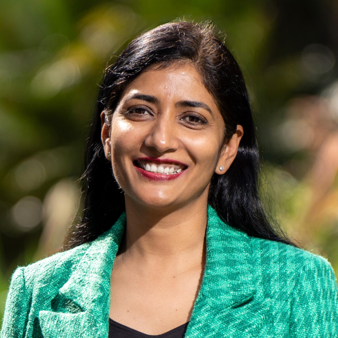 Deepa Mathew, Family First Candidate for the Legislative Council