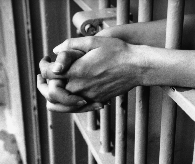 Family First calls for appeal against lenient sex crime sentence