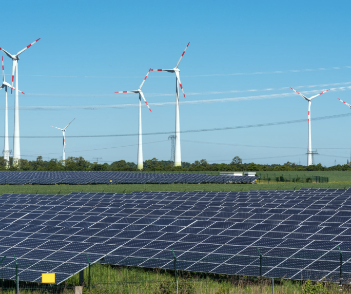 Family First welcomes Libs dumping Net Zero