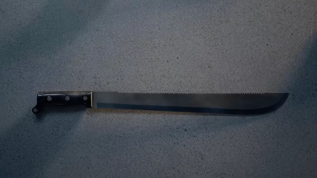 Allan’s Machete Publicity Stunt Was Never a Plan