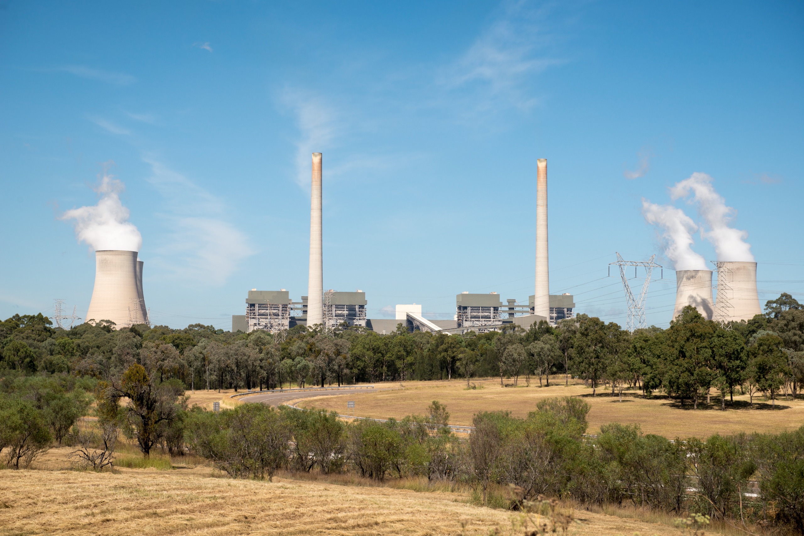 Eraring shuts in 2029 and NSW has no plan for what replaces it: Shelton