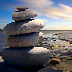 Finding Calm in the Storm – He Maonga Āwhā