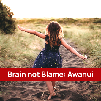 Far North Workshop: Brain Not Blame