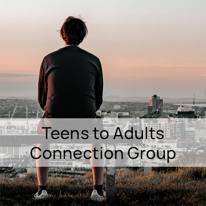 Teens to Adults – Online Connection Group
