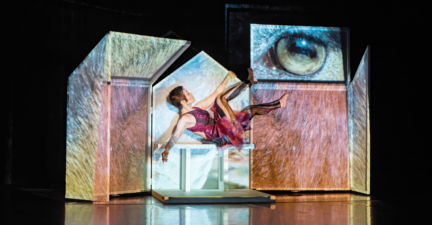 Degenerate Art Ensemble