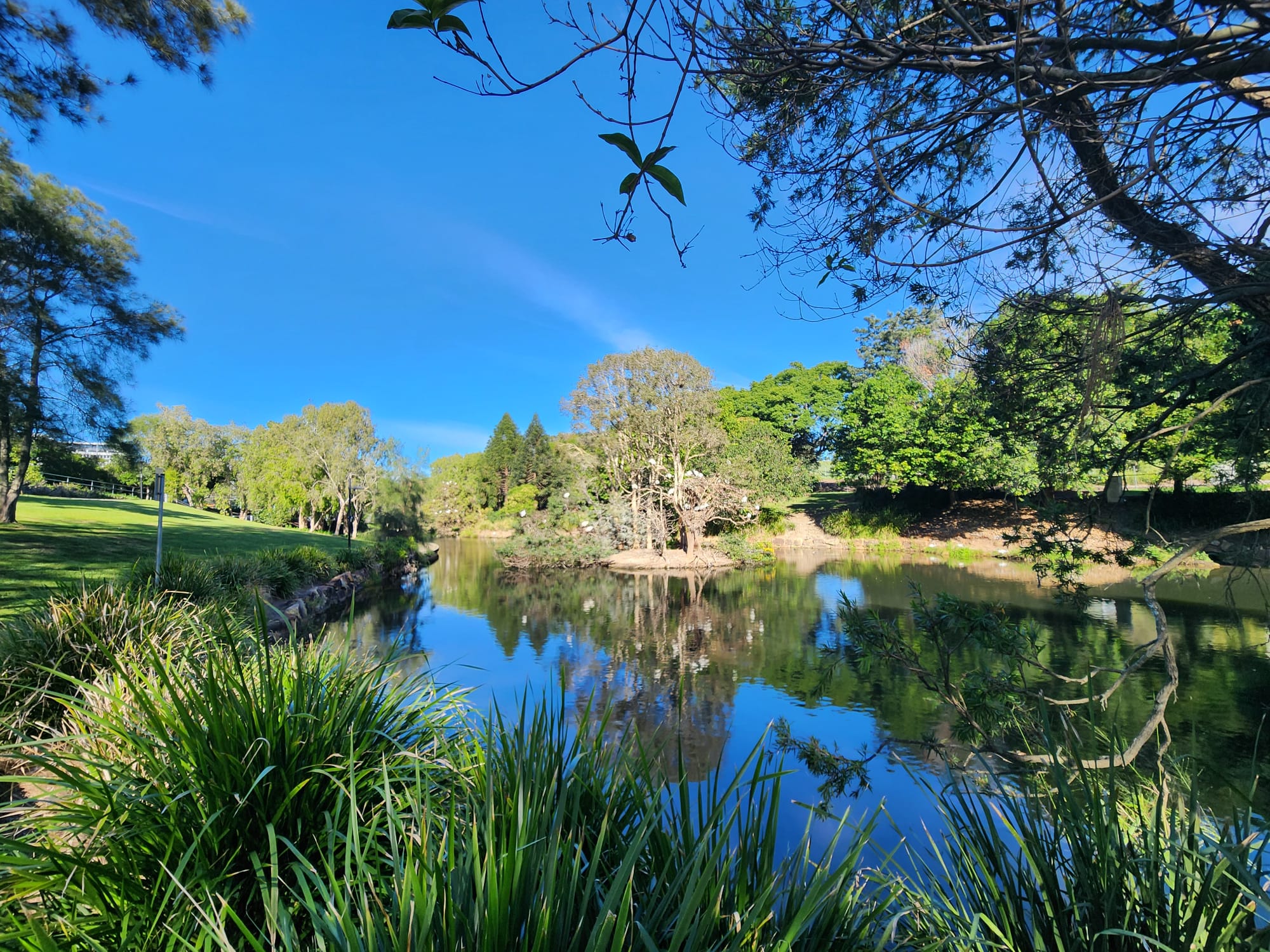 Victoria Park, an area also known as Barrambin or Walan, in Brisbane