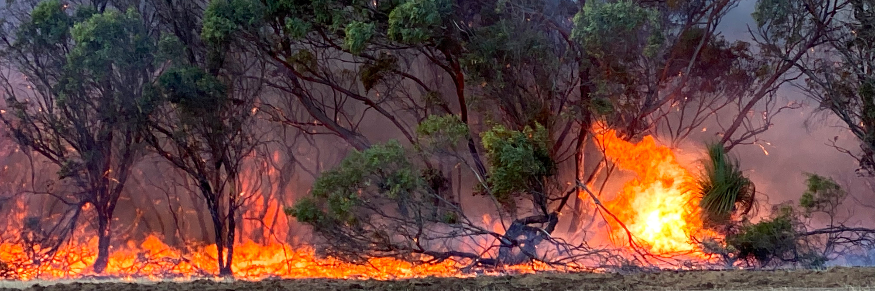 Stop Burning Fossil Fuels, Stop Burning Australia!