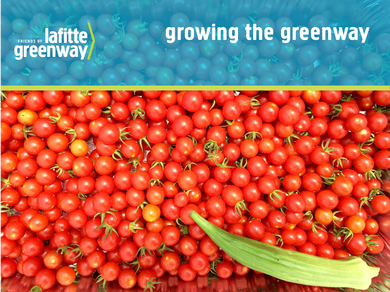 growinggreenway.png