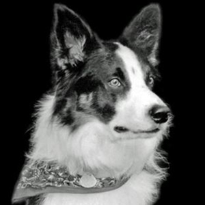 Oliver Kody