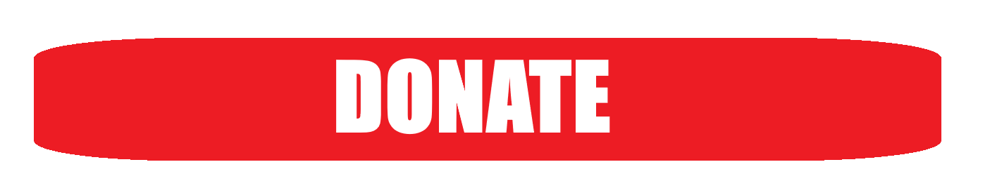 Donation Button Donation Button