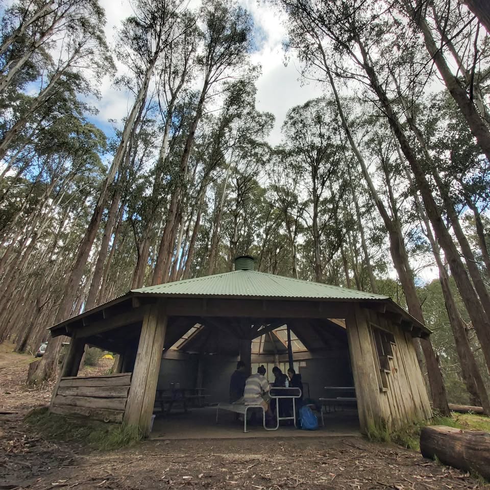 Mt Stirling King Saddle hut activists