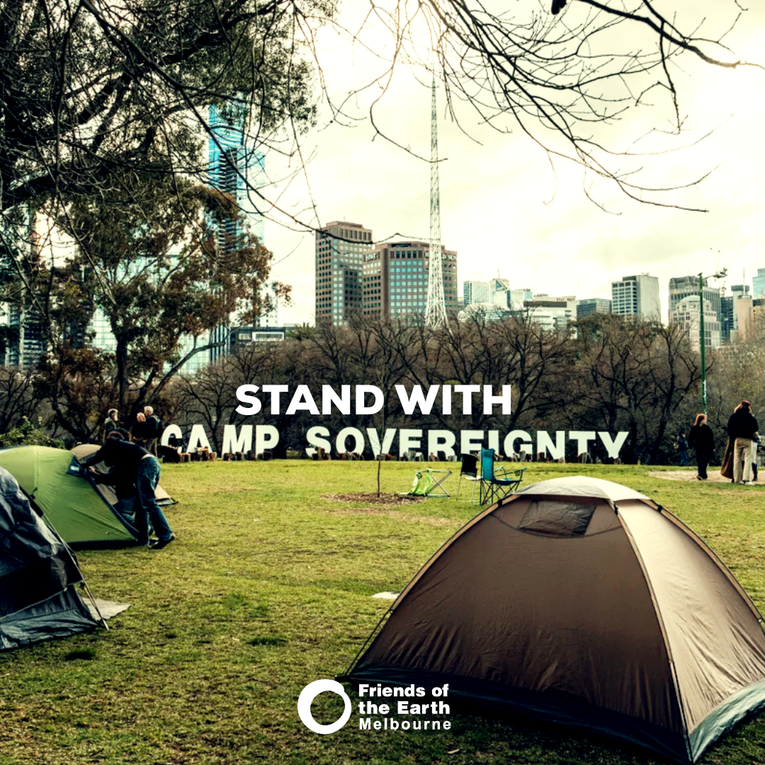 stand with Camp Sovereignty