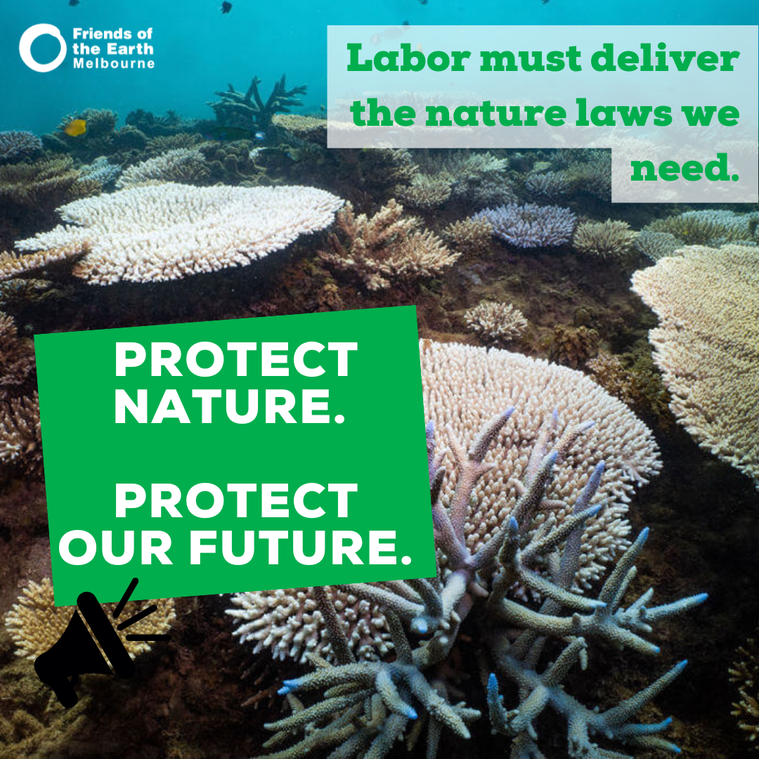 Protect nature protect our future Protect nature protect our future