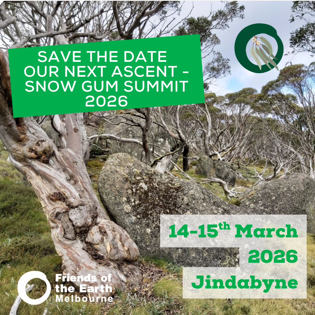 Snow gum summit 2026 Snow gum summit 2026