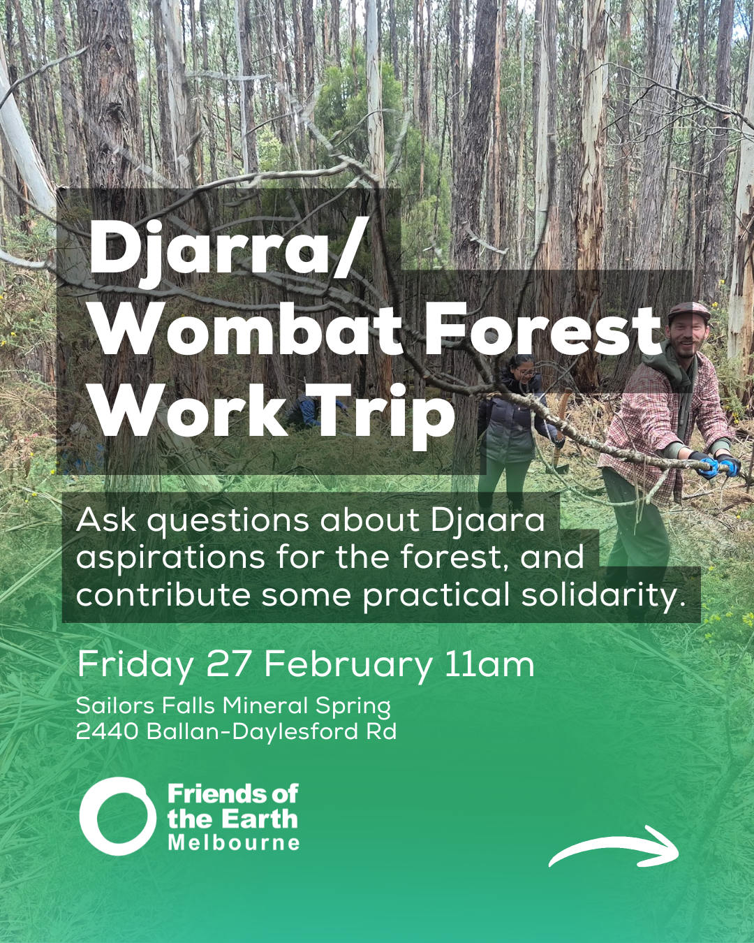 Djaara Wombat forest work trip