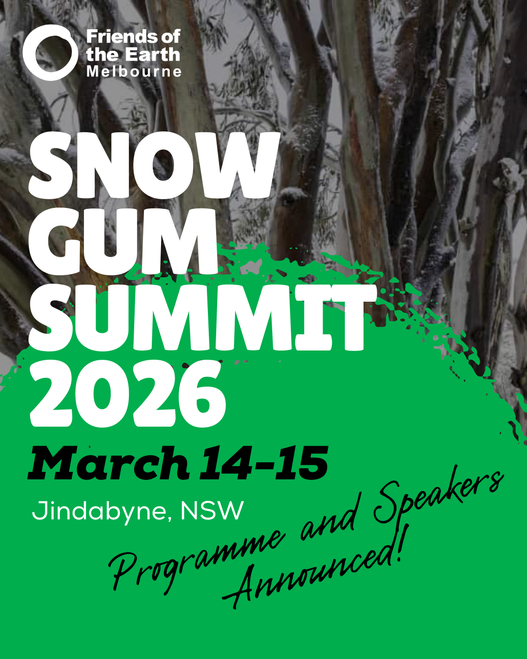 Snow Gum summit 2026