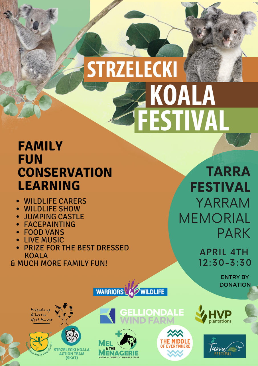 Koala festival 2026