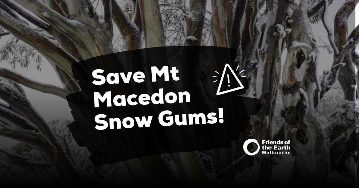 FoE Melb Save Mt Macedon Snow Gums