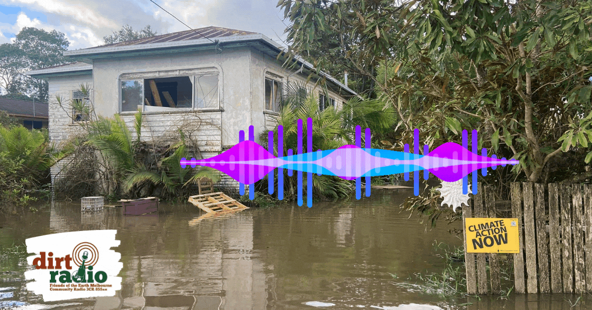 Lismore Community Resilience In The Face of Climate Disaster Friends