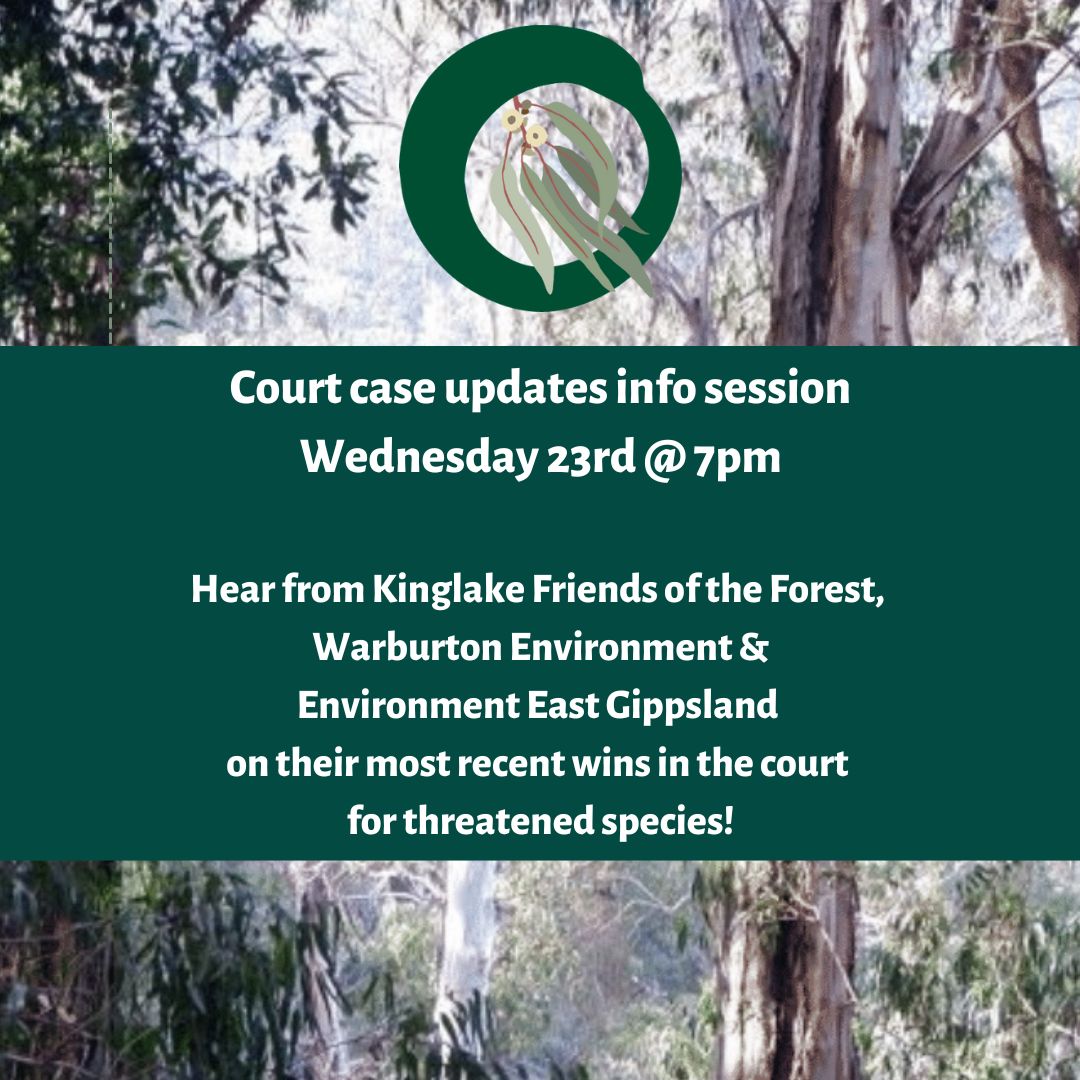 Glider court case summary and future action KFF EEG Friends of