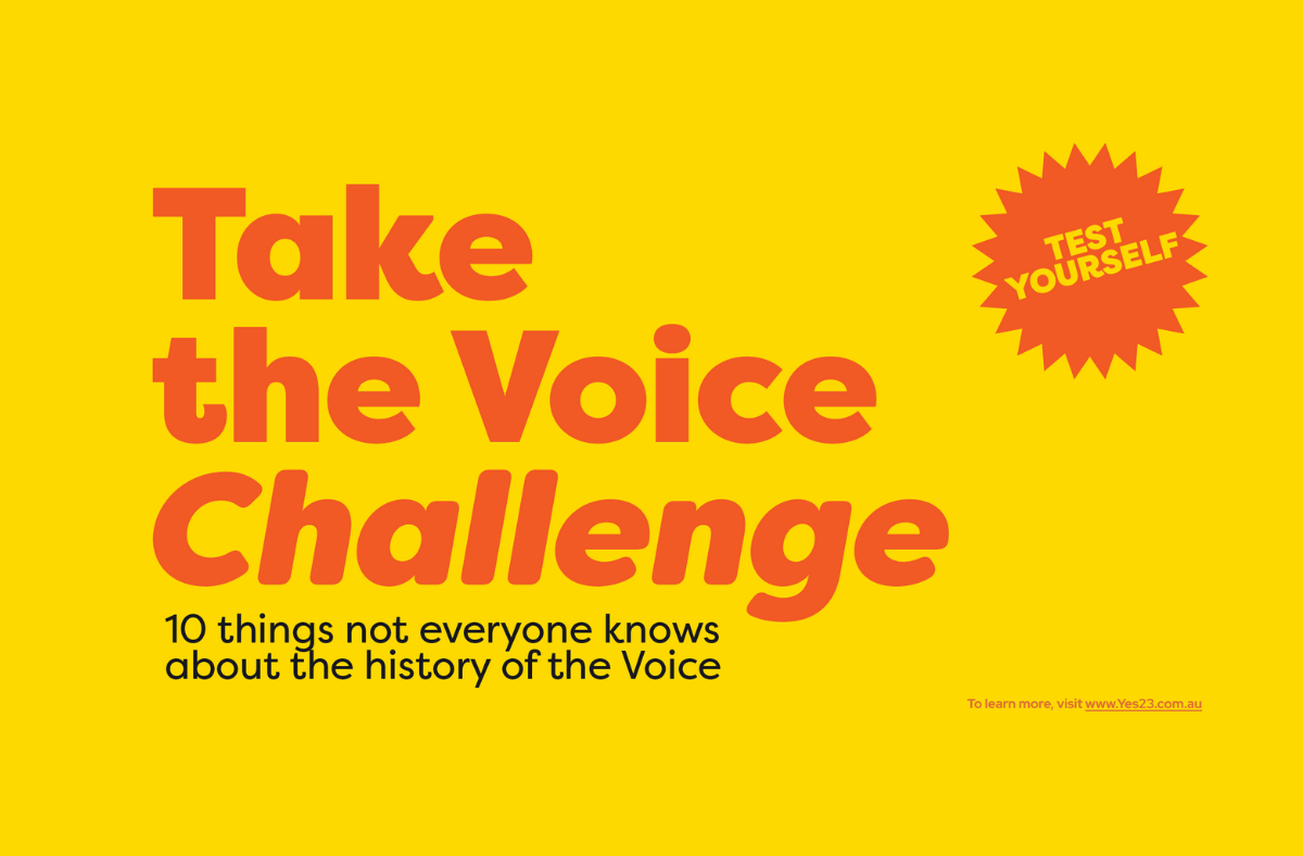 The Voice Quiz Yes23