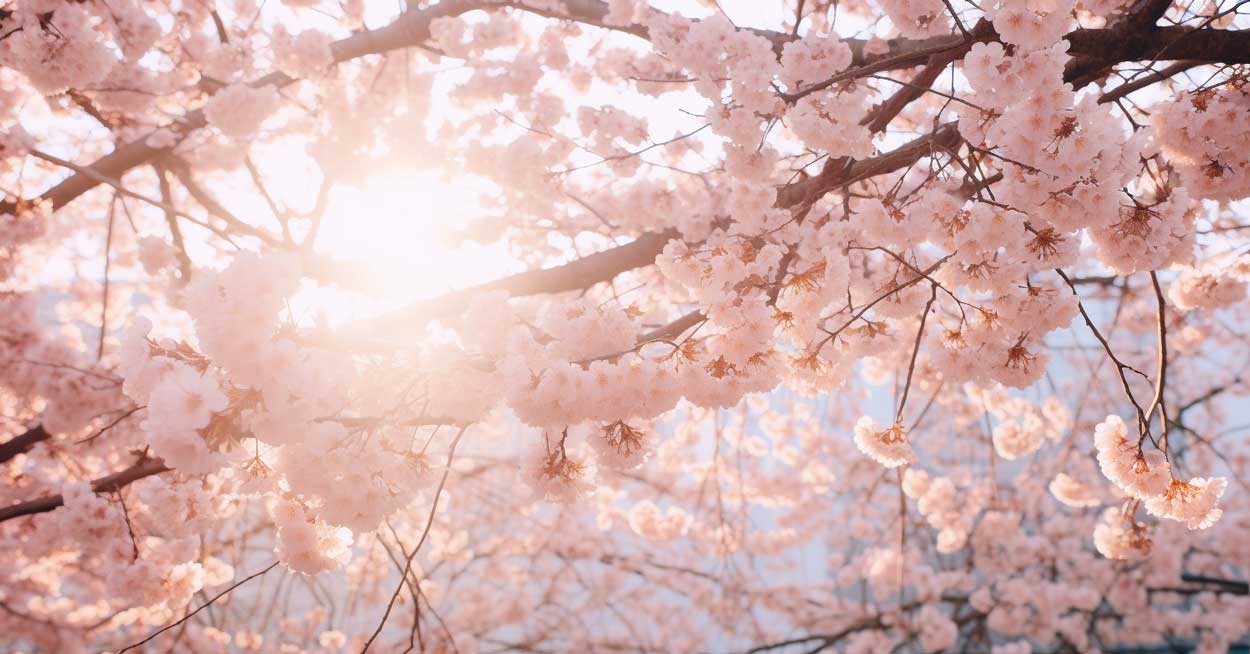 April Flowers