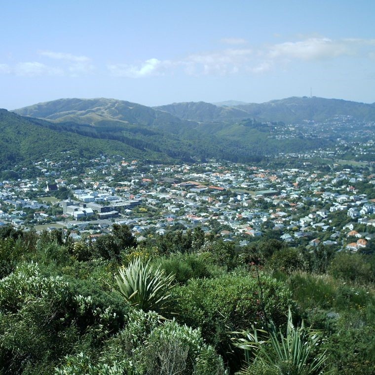 Opportunity Knocks in Karori