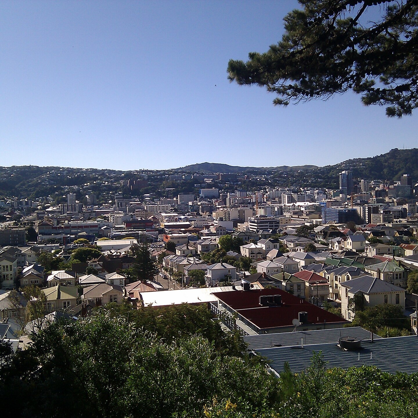 Opportunity Knocks in Mt Vic