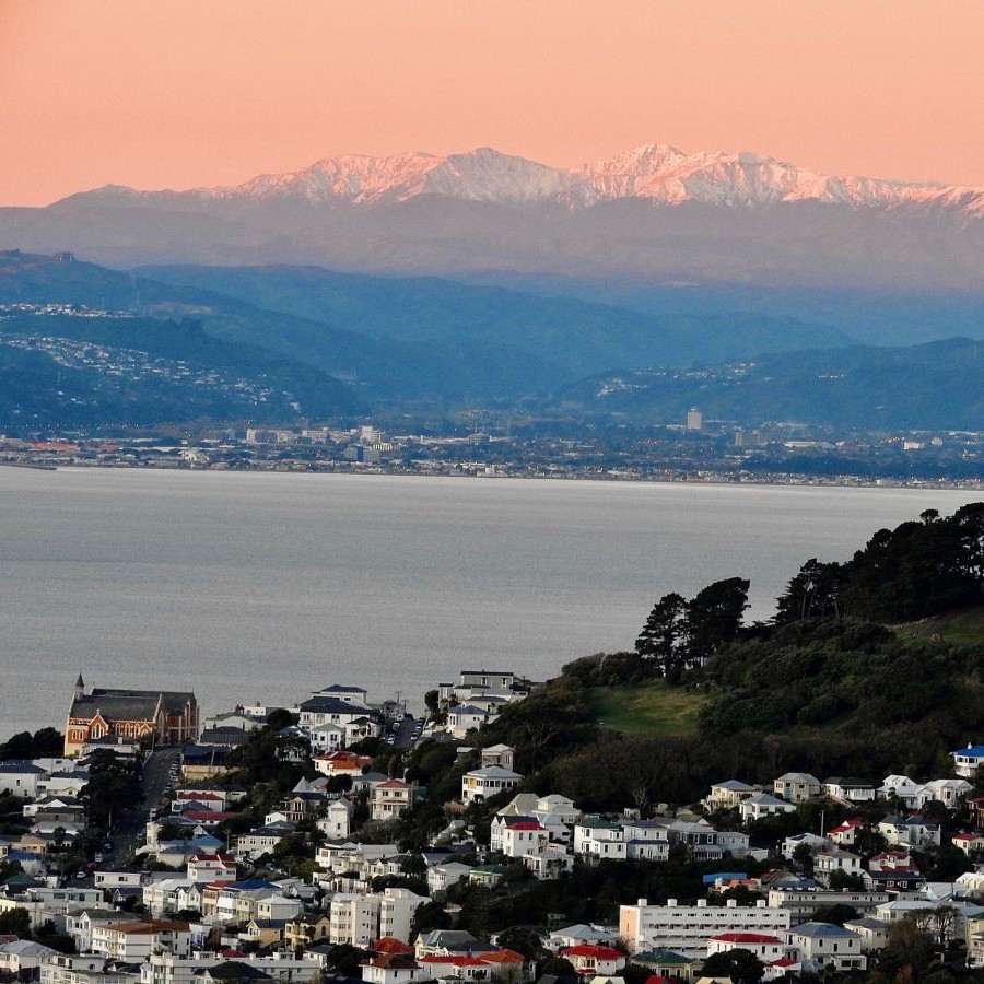 Wellington Meet Opportunity - September