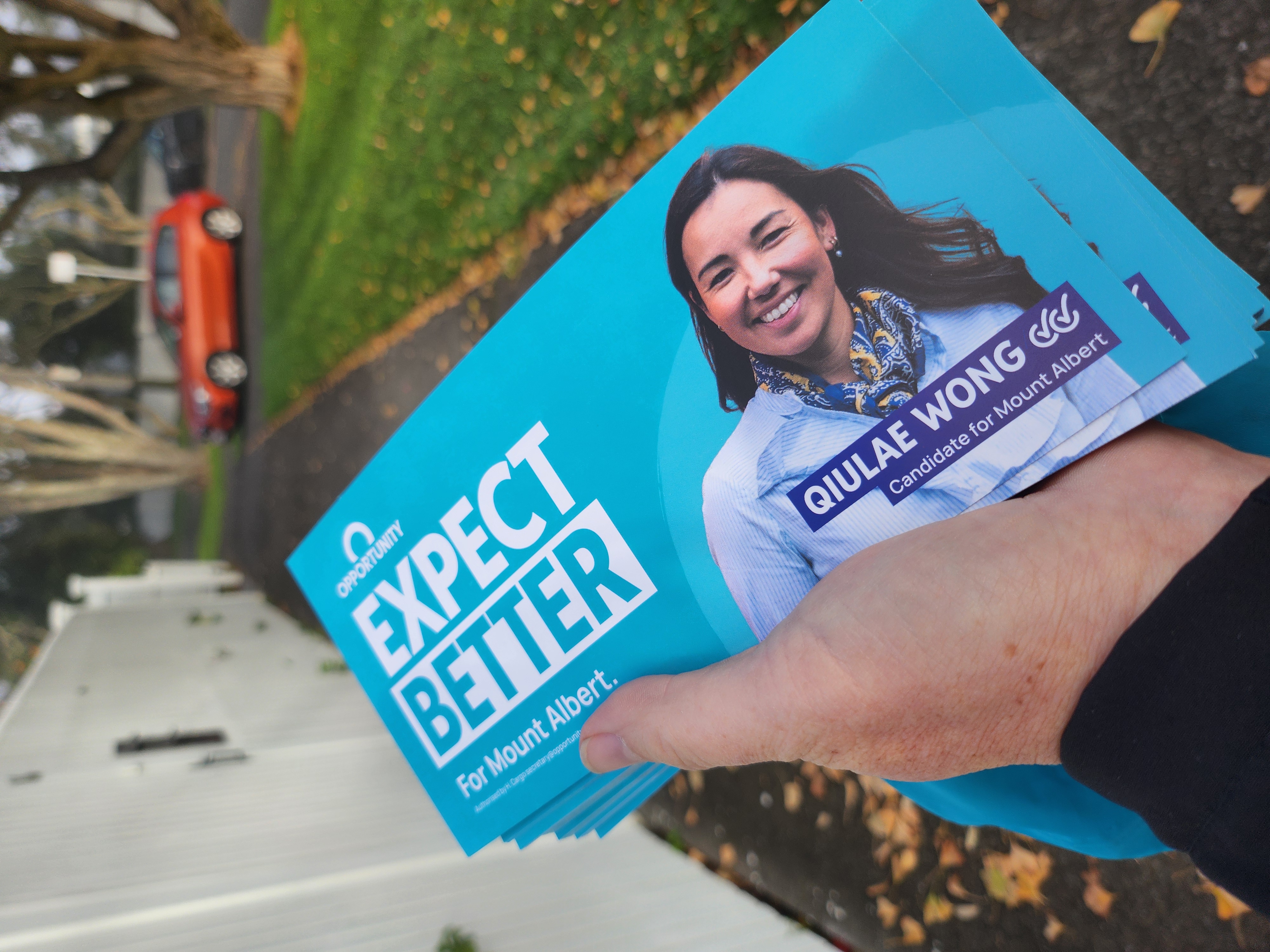 Mt Albert Flyer Pickup + Delivery