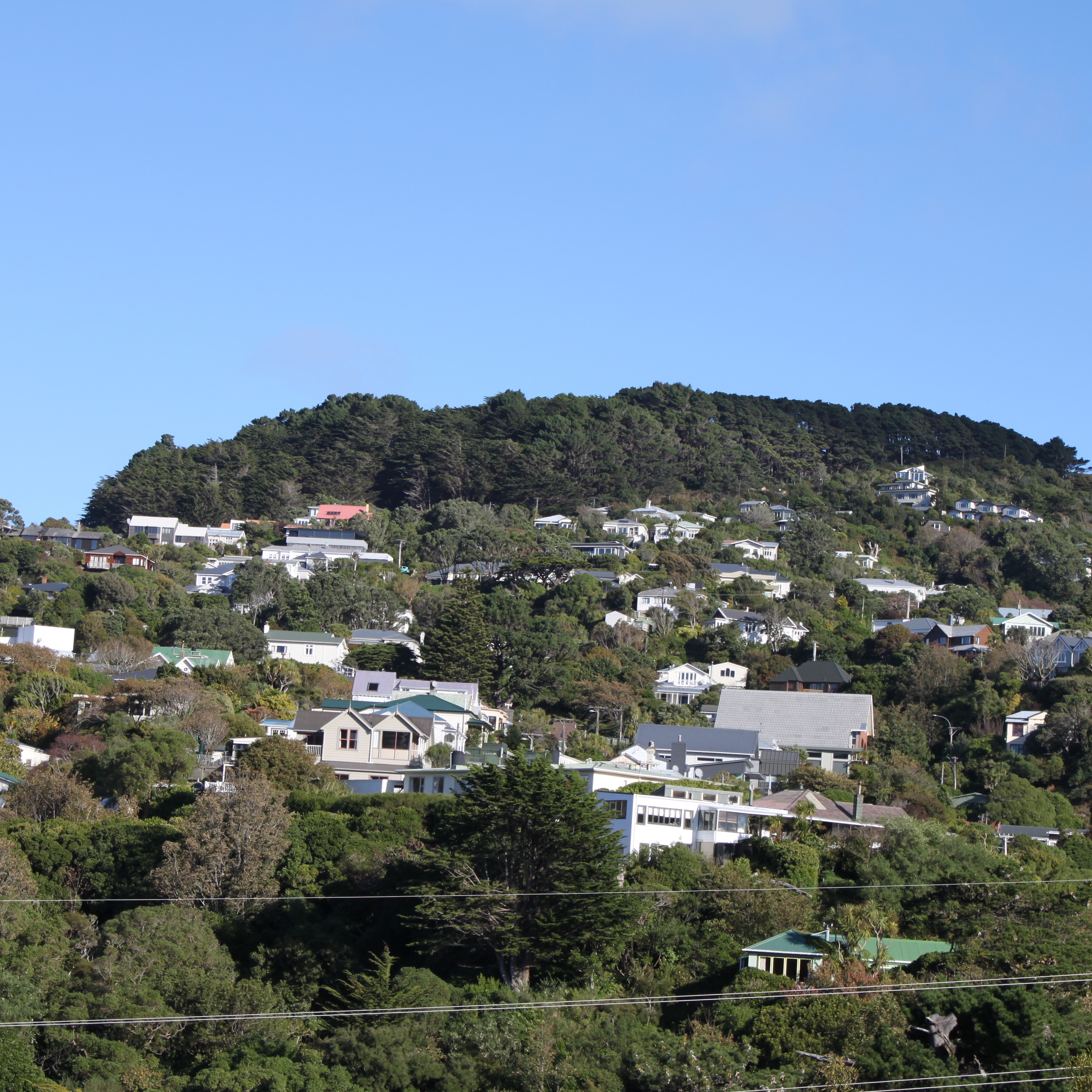 Opportunity Knocks in Wadestown