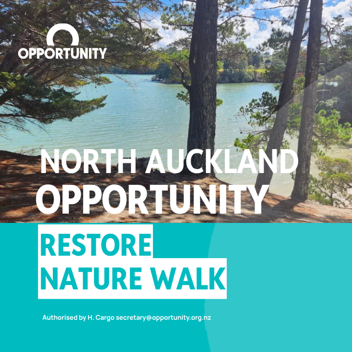 North Auckland Restore Nature Walk