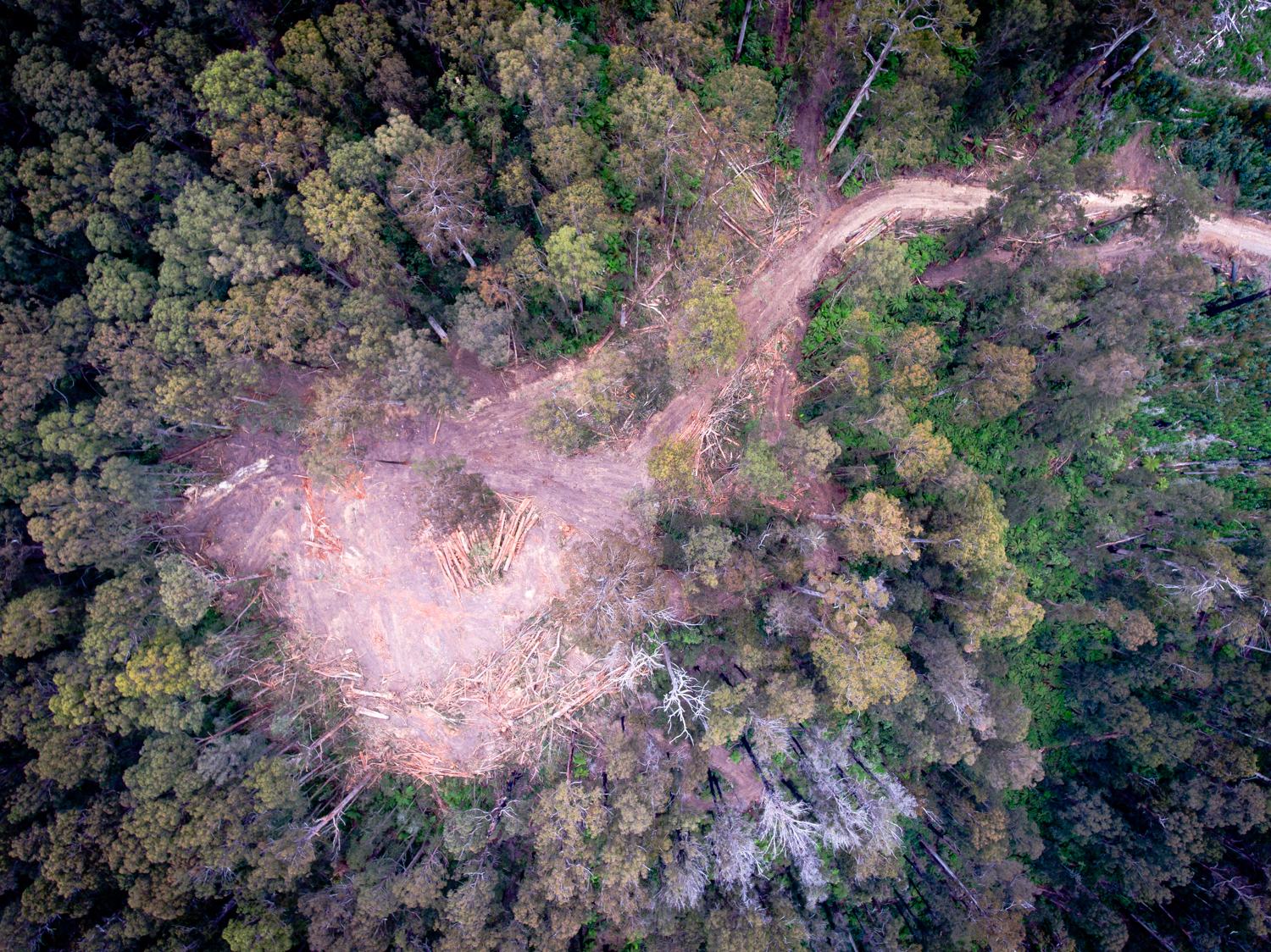 web_20161113-DJI_0238_Stoney_Creek_(web)_copy.jpg