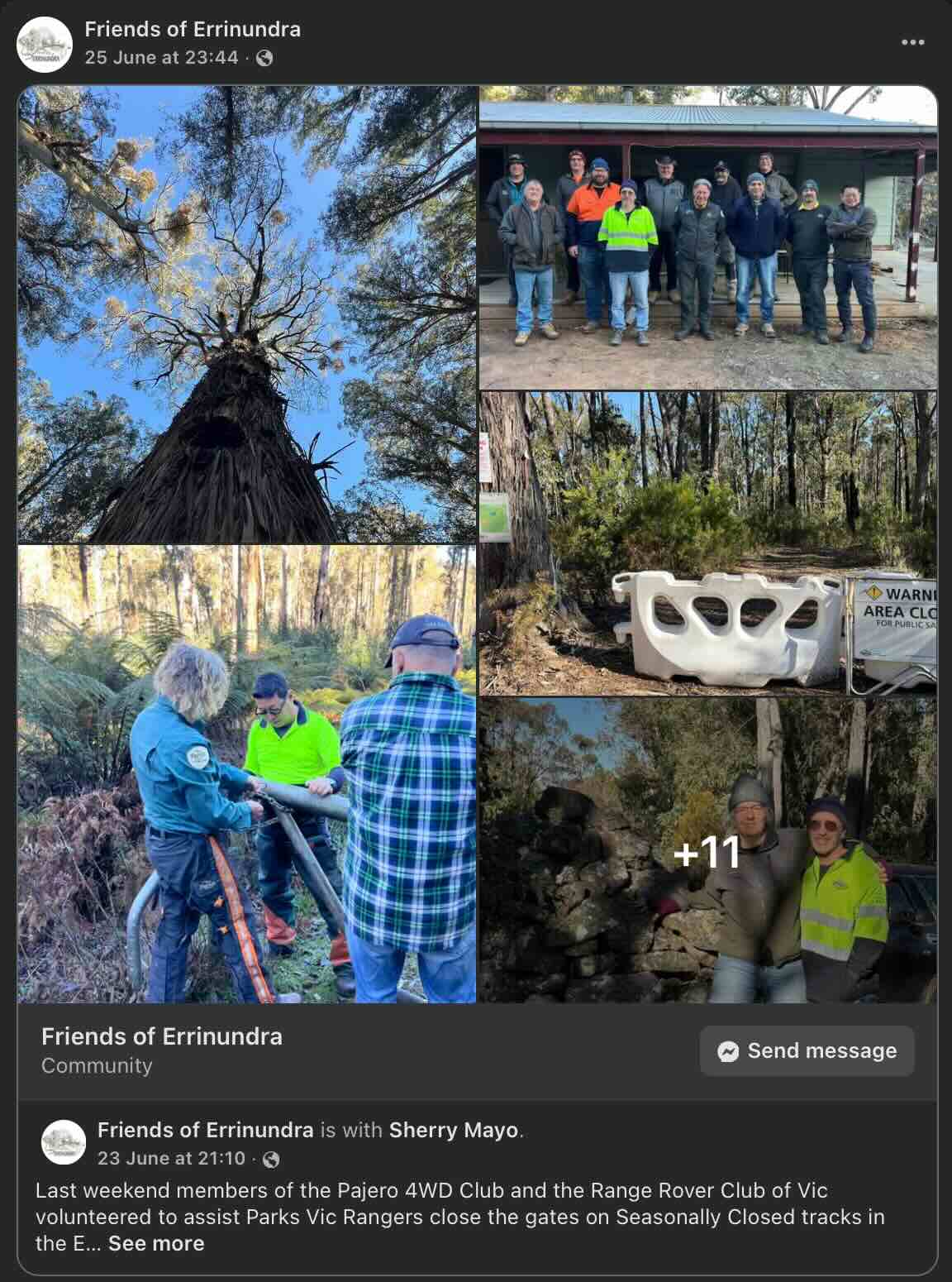 A Friends of Errinundra working day maintaining tracks in Errinundra