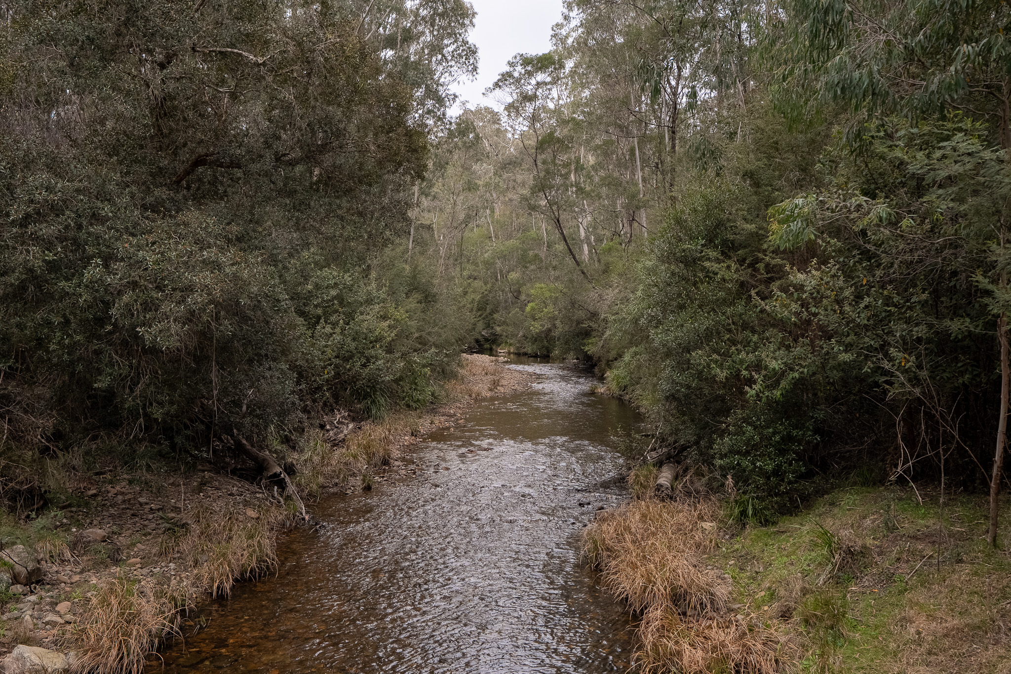 Yalmy River, habitat to Lace monitors and fire-sensitive vegetation. Yalmy River, habitat to Lace monitors and fire-sensitive vegetation.
