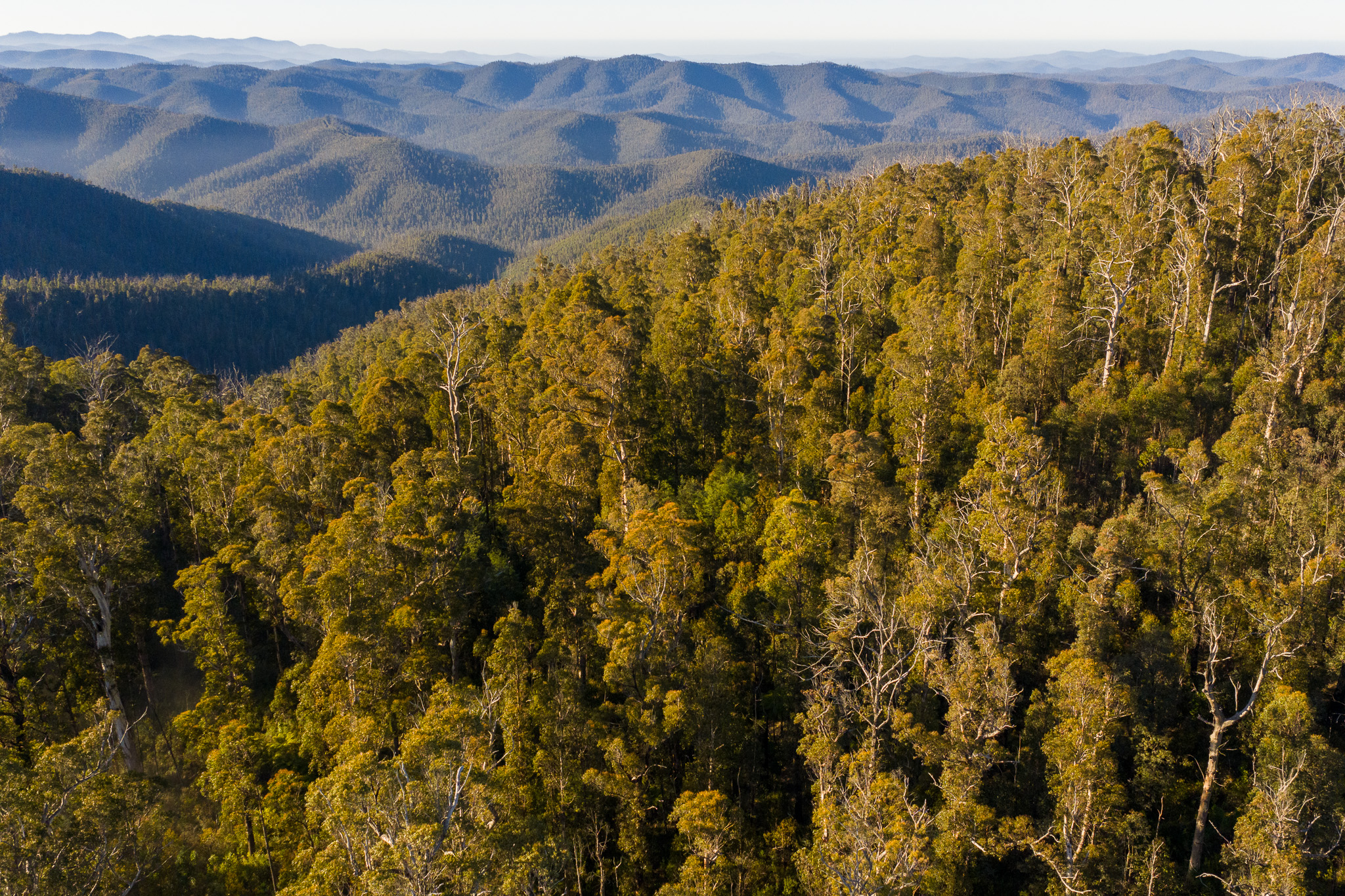 Another glossy report and still no promises for the environment.