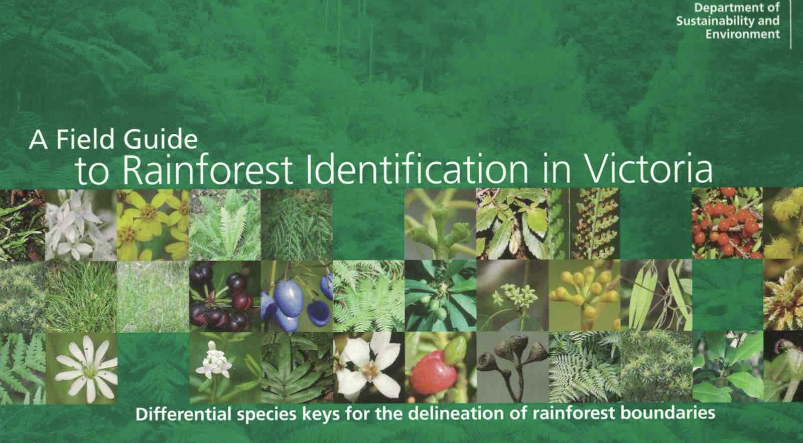 A Field Guide to Rainforest Identification in Victoria - David Cameron