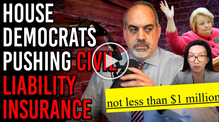 New Video: Georgia Democrats Push Gun Insurance