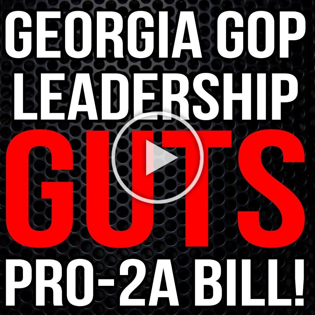 RINOs in the GA House Just GUTTED a Pro-Gun Bill!!