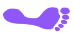 purple_footprint.png