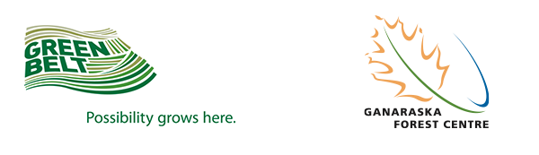 22.png
