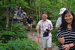 Photo - Participants of the June 23 hike of the Bruce Peninsula, in the woods hiking through lush deciduous vegetation. Trail of hikers cuts from center of photo to bottom right corner.