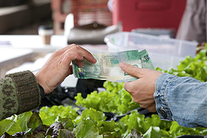 Photo - Money is transferred between two hands at a local farmers' market.
