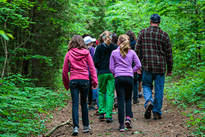 Photo - Group going for walk in woods