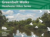 Photo - Headwater Hikes Postcard