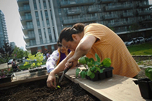 Photo -working at the garden